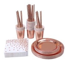 Set di stoviglie color oro rosa per festa di compleanno per bambina – 146 pezzi