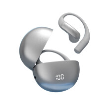 True Wireless Bluetooth 5.4 Earbuds with Dual Mic NC, Smart Translation, 30H Playtime – Silver