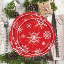 Christmas Plates 7" Holiday Paper Plates Christmas Snowflake Party Supplies Disposable Dinnerware 25pcs Dessert Plates