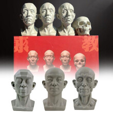 Modelo de cabeza plana para artistas: guía de planos faciales, compatible con maniquíes artísticos estándar.
