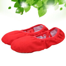 1 Pair Ballet Shoes Women Breathable Lightweight Round Toe for Jazz ce Classes