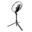 Adjustable Color Temperature Dimmable LED Lighting10Inch RGB Fill Light Foldable Design Ultra-Sturdy Tripod Wireless Remote Control USB Powered 6