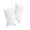 2-Pack Microfiber Travel Pillows, Soft & Machine Washable, Neck/Back Support, Compact for Car/Office/Naps, Includes 2 Pillowcases 1