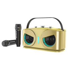 Głośnik  SD306plus Owl, Mocny, Przenośny, z Dwoma Mikrofonami, Dźwięk HIFI, Idealny do Karaoke i Imprez na Świeżym Powietrzu C