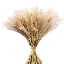 Farmhouse Style Decor, Natural Dried Pampas Grass For Wedding Table Centerpieces, Diy Dried Flower Arrangements, 20Pcs, Khaki, Reed, 55Cm