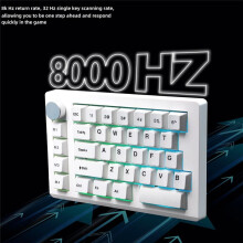 New HE33 Hot Swappable Wired Magnetic Axis Mechanical Keyboard 8K Return Rate Custom Key Range Electronic Sports