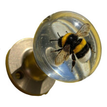 Nature Inspire Clear Round Door Knob Florals Embellishment Home Decoration