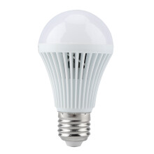 Lampe à induction corporelle, ampoule de secours rechargeable pour un éclairage domestique efficace, culot métallique ventilé (1 pièce)