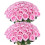 Artificial Roses Velvet Silk White 60 pcs 1