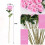 Artificial Roses Velvet Silk White 60 pcs 2
