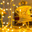 Flexible And Bending Resistant, Low Voltage Christmas Lights5M Copper Wire50Leds With Multimode Feature, Timer Function String Lights For Indoor 7