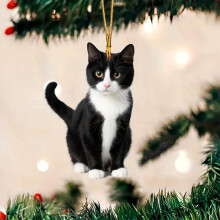 Vianočné ozdoby Black Cat2025, akrylová okrúhla prívesná dekorácia na stromček – kompatibilná s vianočnou výzdobou domácnosti