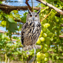 12" Hanging Plastic Owl Decoy to Scare Birds & Squirrels – Motion-Activated with Bells & Reflective Tape