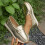 Γυναικεία Loafers Willtoo, Casual, Καλοκαιρινά, Ελαφριά, Φλατ Παπούτσια, Ρηχό Στόμα, Χαλαρά, 1