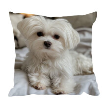 Ensemble de coussins à motif animal mignon – Coussins décoratifs doux et résistants pour une utilisation intérieure/extérieure, cadeau idéal
