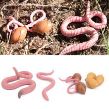 Lebenszyklus-Modell Regenwurm für Kinder,