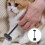 3Pièces Nettoyage Pelage Massage Chat 11