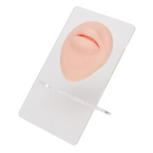 Educational Tools for Piercing Practice, Jewelry Display Silicone Material with Display Model, Soft and Elastic Silicone for Beginners