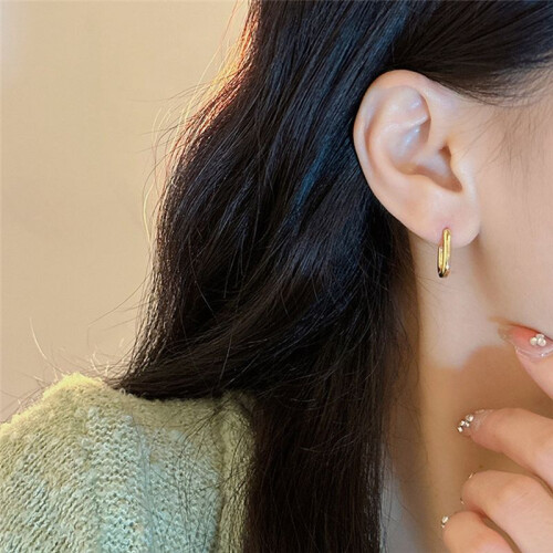 Cool Style Ear Clips Niche Design High-End Earrings Exquisite and Small Retro Commuting Light Luxury Earrings 2