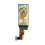 1.91 Inch AMOLED Display Panel 240x536 Pixel MIPI Interface  Small AMOLED Screen for Wearable Smartwatch 7