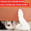 30Pack Cat Scratcher, Cat Scratch Ave-Tejp, Cat Repellent för MöBler, Cat Couch Protector, Cat Scratching Pad 9