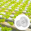 100Pcs Durable Plastic Slotted Mesh Plant Nursery Pots for Hydroponics 8
