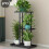 (White) Plant Stands as Sculptures of Greenery 2