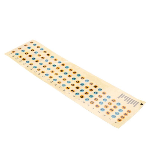 3X Guitar Fretboard Note Decals Fingerboard Frets Map Sticker for Beginner Learner Practice(Bass-Multicolor) 2