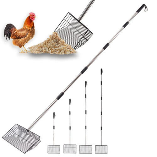 2X Pá  para Cocô de Frango de 10 Polegadas, Pá para Lixo de Galinheiro de 24 A 68 Polegadas de Comprimento com Cabo de Aço Inoxidável, Pá 2