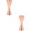 2Pièces Verre Cocktail Acier Rose À 5