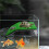 2X Lawn Turtle Basking Platform Turtle Resting Basking Platform, Simulation Grass Turtle Ramp for Turtle Tank, Reptile S 6