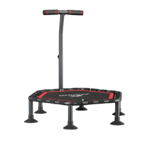 Indoor Fitness Trampoline with Handrail