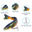 Clearance Lifelike Swimbait Lures – Αργής Βύθισης, για Λαβράκι, Πέστροφα, Κράπι (Γλυκού & Αλμυρού 1