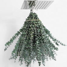 20 stuks echte eucalyptusstelen (38-43 cm) voor douchedecoratie, bruiloften en huisdecoratie – gedroogde bloemen, passend bij de landelijke stijl