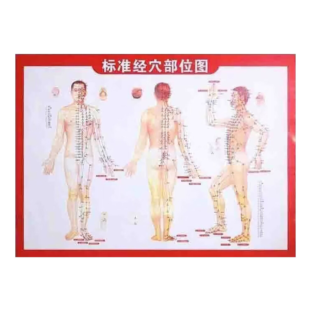 Gua Sha Therapy Stick, Full Body Scraping Stick, Scraping Stick, Massage Sticks, Massage Roller, 37 Beads for Back, Shoulder
