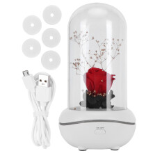 LED Lighted Rose Gifts for Women's Gifts, Eternal Preserved Roses with USB Charging Port (Sparkle Red)