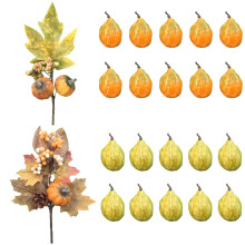 Décoration florale artistique, graines non OGM pour embellir votre espace de vie avec une touche de nature, idéale pour la décoration de la maison