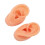 Teaching Ear Model,Human Both Ear Model,Silicone Ear Model Human Artificial Ear Display For IEM Earphones Display Lecturing 1