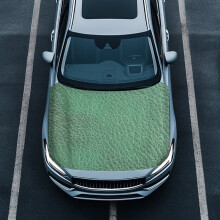 Green Car Hood Cover, Portable Hood Covers for Cars Decoration Suitable for Most Automotive Sedans Trucks Pickup Sports Cars, Auto Accessories