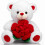 Valentine's Day Teddy Bear Plush White with Red Rose 1