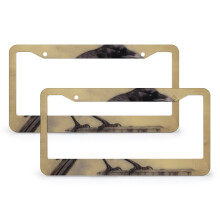 2 peças de moldura de placa de carro estilo vitoriano com pássaro preto e corvo, padrão Halloween, suporte para placa de carro em alumínio