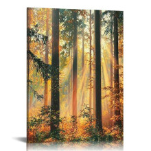 Mystery Forest Light Wall Art, Nature Landscape Pictures Canvas Prints Wall Decor, Autumn Trees Paintings Hang for Office Bedroom, Bathroom 12x16 in