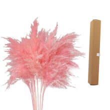 Romantic Ambiance: Perfect Decoration Pampas Grass, Natural Dried Flowers For Your Home, Wedding Or Special Occasion (5PCS, White)