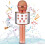 Bluetooth Karaoke Microphone for Kids Rose Gold 1