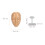 5D Silicone Makeup Practice Face Board for Beginners, 20ml Remover 2