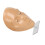 5D Silicone Makeup Practice Face Board for Beginners, 20ml Remover 11