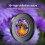 NEEWER Lente  Angular HD com  Angular de 18 mm e Macro 10x para  ZV-1F, ZV-E10 Kit Adaptador de Lente 2 em 1 5