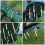 80St Multi-Functionele Metaal Schoenspikes Aerator Voor 10