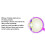 Optical Flipper Double Sided High Definition Vision Training Optometry, ABS & Resin Material 4