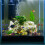 Safe And Practical Fish Tank Spawning Mops For Aquariums 4